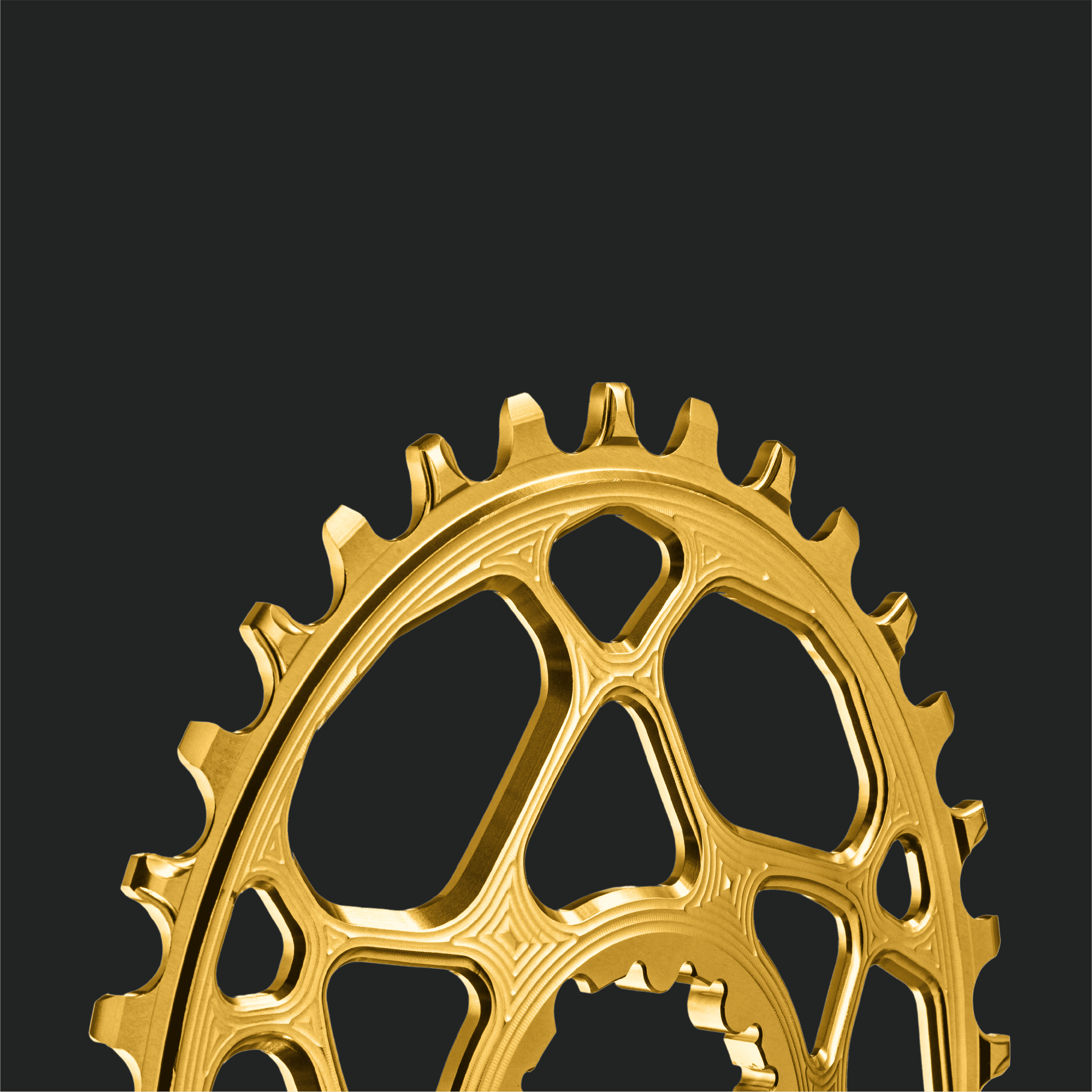 detail-2.png